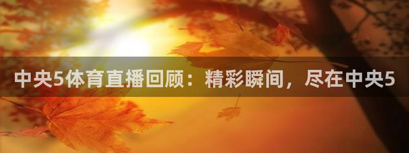 中央5体育直播回顾：精彩瞬间，尽在中央5