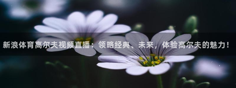 新浪体育高尔夫视频直播：领略经典、未来，体验高尔夫的魅力！