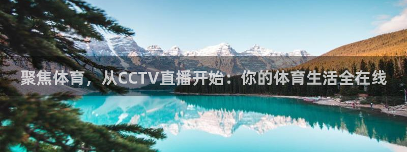 聚焦体育，从CCTV直播开始：你的体育生活全在线