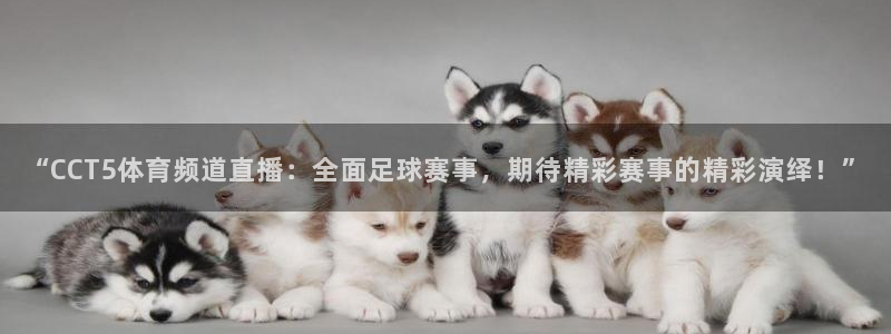 “CCT5体育频道直播：全面足球赛事，期待精彩赛事的精彩演绎！”