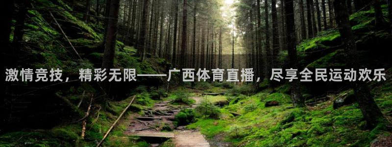 激情竞技，精彩无限——广西体育直播，尽享全民运动欢乐
