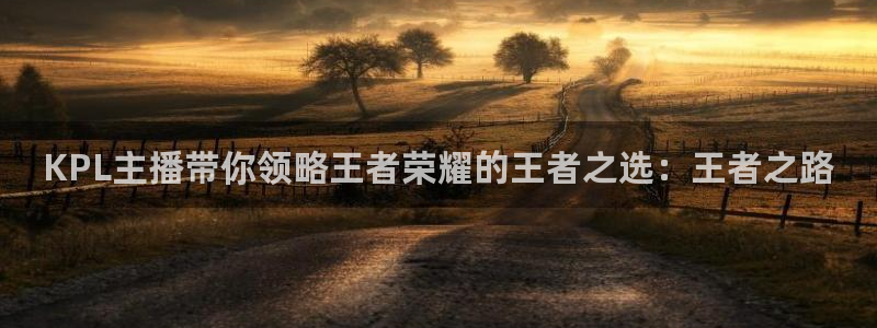KPL主播带你领略王者荣耀的王者之选：王者之路