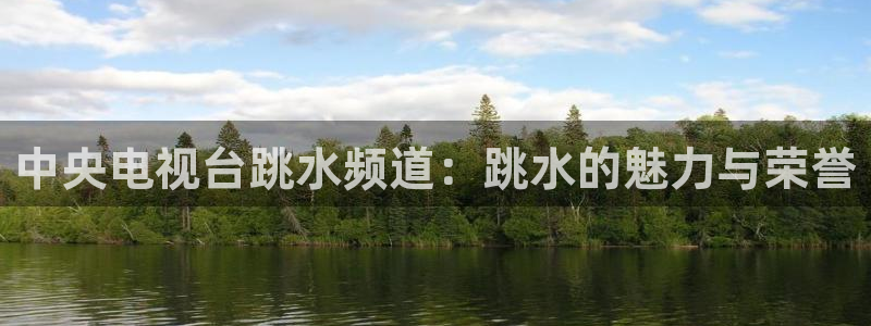 中央电视台跳水频道：跳水的魅力与荣誉