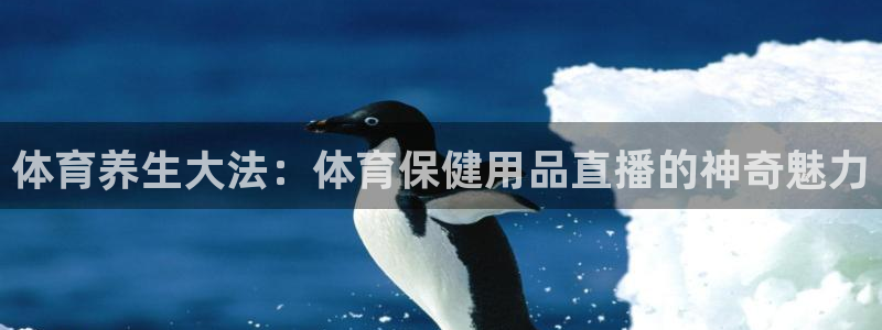 体育养生大法：体育保健用品直播的神奇魅力