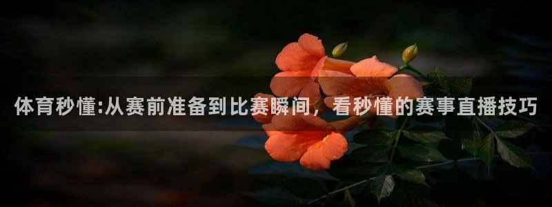 体育秒懂:从赛前准备到比赛瞬间，看秒懂的赛事直播技巧