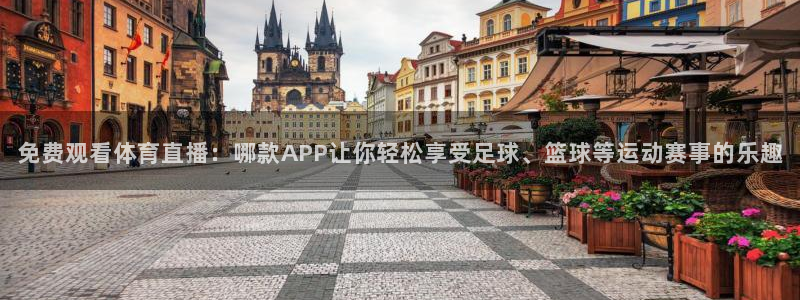 免费观看体育直播：哪款APP让你轻松享受足球、篮球等运动赛事的乐趣