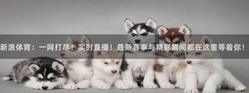 新浪体育：一网打尽！实时直播！最新赛事与精彩瞬间都在这里等着你！