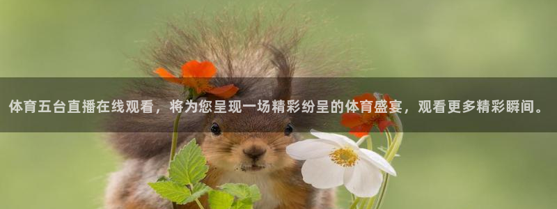 体育五台直播在线观看，将为您呈现一场精彩纷呈的体育盛宴，观看更多精彩瞬间。