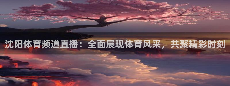 沈阳体育频道直播：全面展现体育风采，共聚精彩时刻