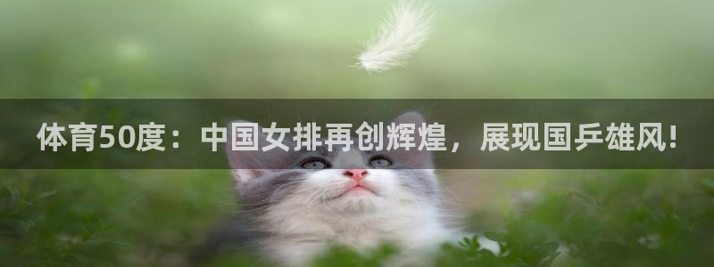 体育50度：中国女排再创辉煌，展现国乒雄风!
