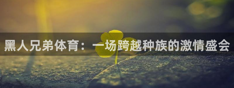 黑人兄弟体育：一场跨越种族的激情盛会